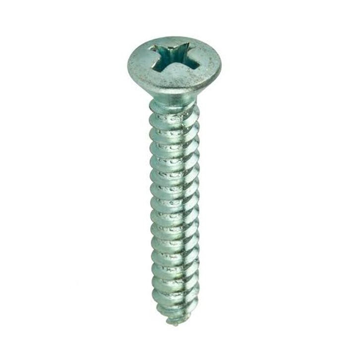PARAFUSO FENDA PH AA INOX CAB OVAL 4.2X25 (8X1)
